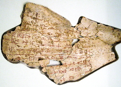 Oracle bone script on ox scapula | Wild Paper handmade paper