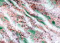 Green Dragon Hand Marbled paper | Wild Paper handmade paper