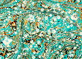 Turquoise Sun Spot Hand Marbled paper | Wild Paper handmade paper
