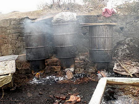 Cooking lokta bark