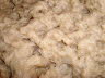 Lokta pulp