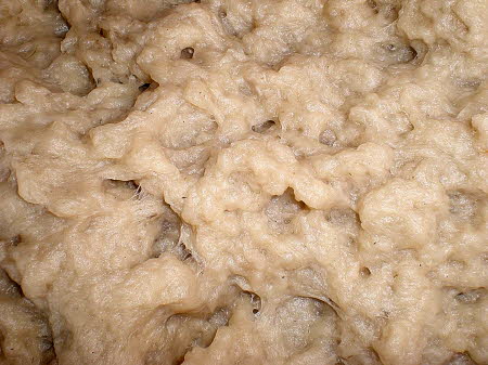 Lokta pulp