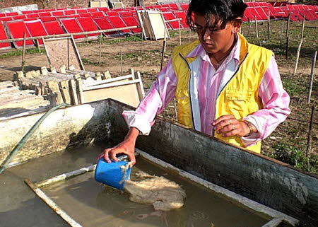Pouring lokta pulp 