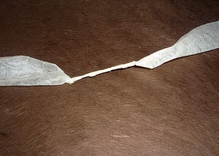 Lokta paper strips joined together