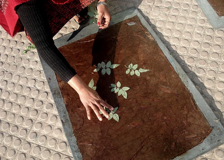 Making lokta rose leaf paper